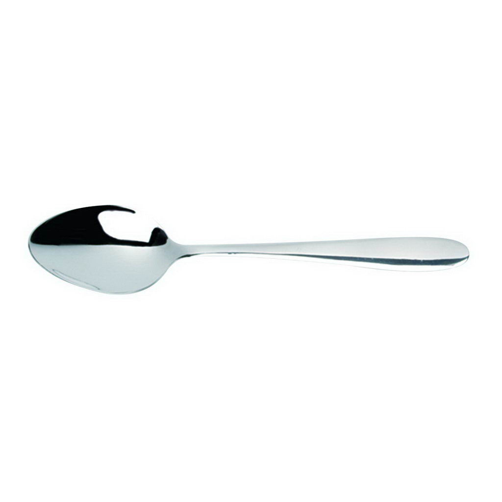 DPS Global Tea Spoon DOZEN