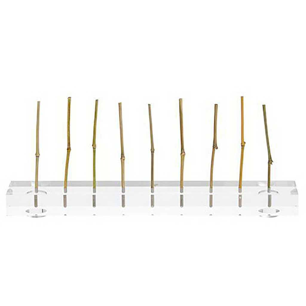 Support Deli thin skewers ø 3mm