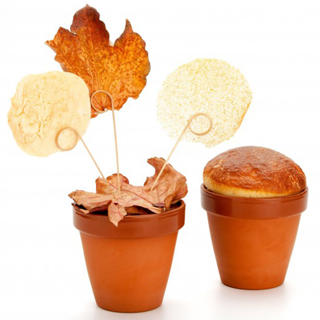 100% Chef Flower Pot Terra Xtrem XS ø7x6cm 125ml