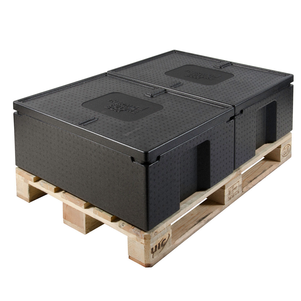 Thermo Future Box Stapelbox EN 2/1 738(660)x 538x 255, 97L