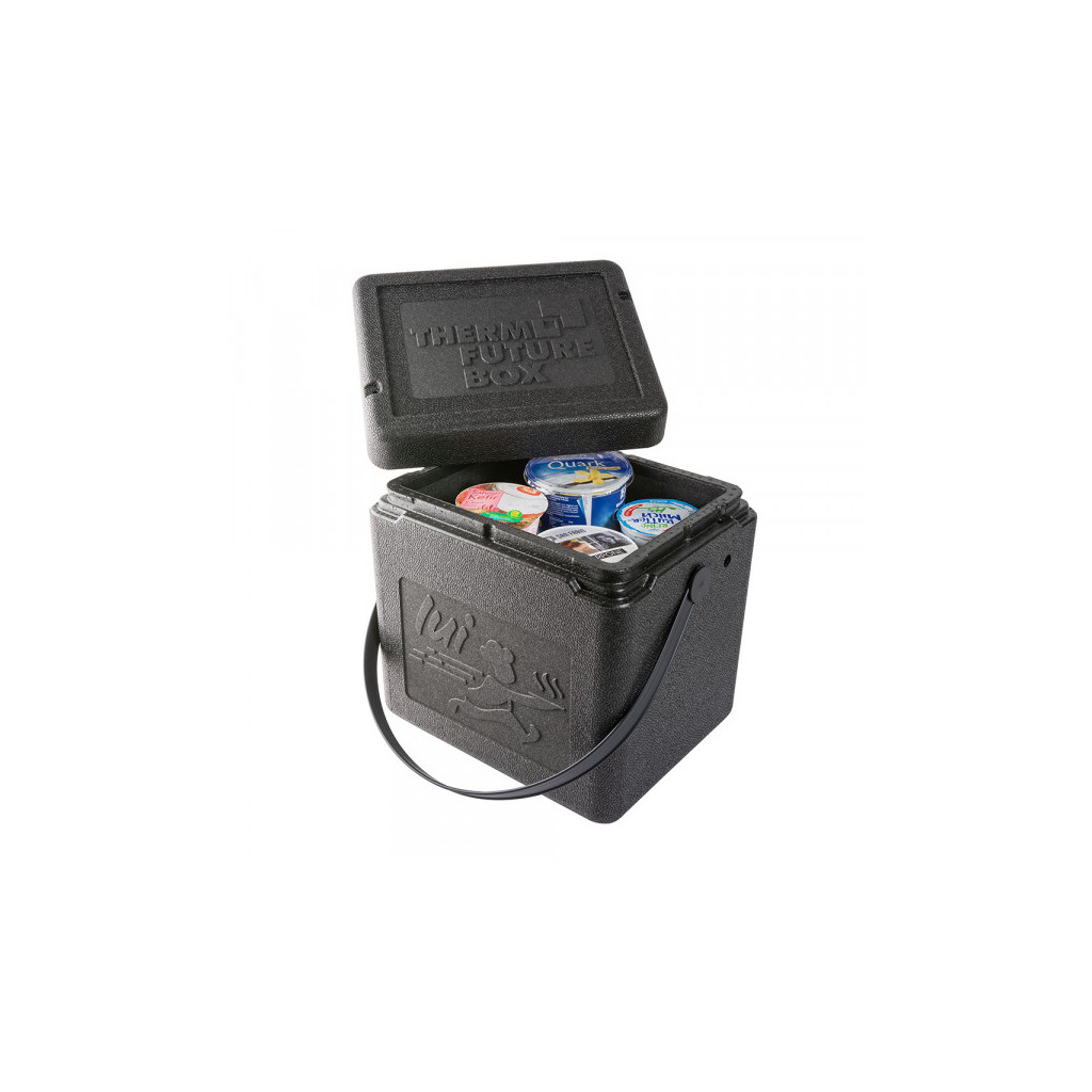 Thermo Future Box S-BOX black / magenta 265 x 205 x 270, 15L