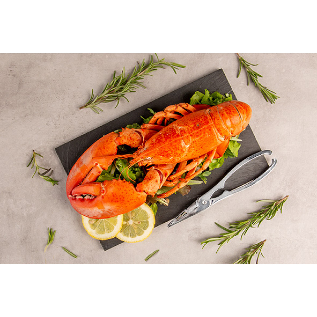 Cosy&Trendy LOBSTER AND NUT CRACKER