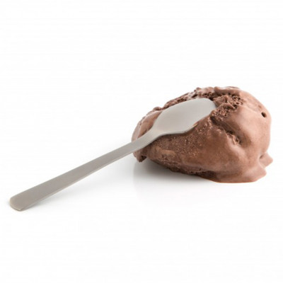 Stainless Steel Ice Cream Spoon Matte