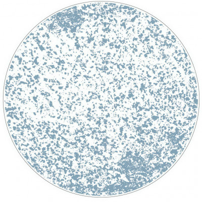 Figgjo Verde Stein Negative Blue Plate ø30cm