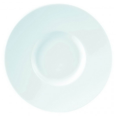 DPS Wide Rim Gourmet Plate 31cm/12.25"
