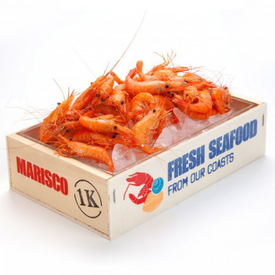 Seafood Methacrylate Box