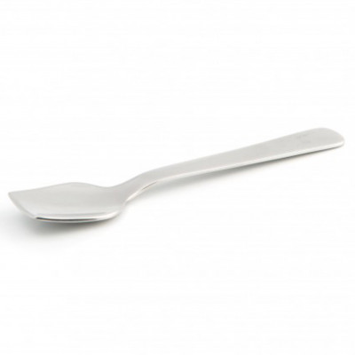 Stainless Steel Ice Cream Spoon Shiny