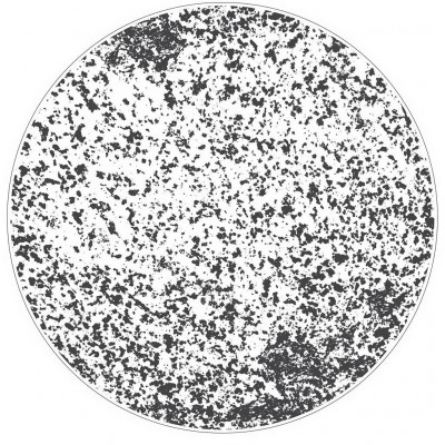Figgjo Verde Stein Negative Black Plate ø30cm