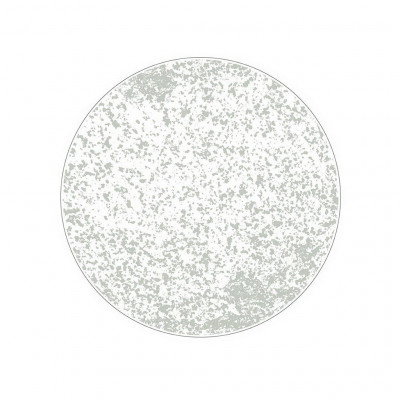 Figgjo Verde Stein Negative Grey Plate ø21cm