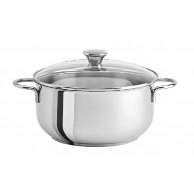 MASTER STAINLESS STEEL STEWPAN 24 CM FIXED HANDLE + GLASS LID