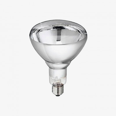 Stayhot Infrared Lightbulb Philips, White, 250 W