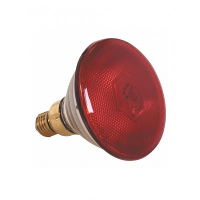 Pujadas LAMP ONLY RED 250 W