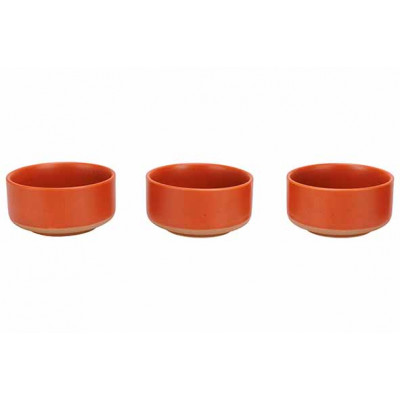 Cosy&Trendy DELA BOWL SET3 D10,5XH5CM TERRACOTTA