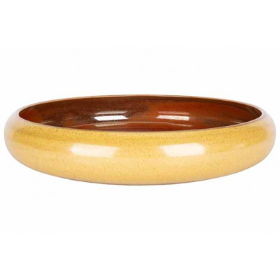 Cosy&Trendy ELEMENTS MUSTARD PLATE D24XH4,9CM