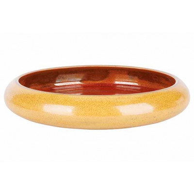 Cosy&Trendy ELEMENTS MUSTARD DISH D12,8XH3CM