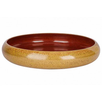 Cosy&Trendy ELEMENTS MUSTARD PLATE D21,7XH4,5CM