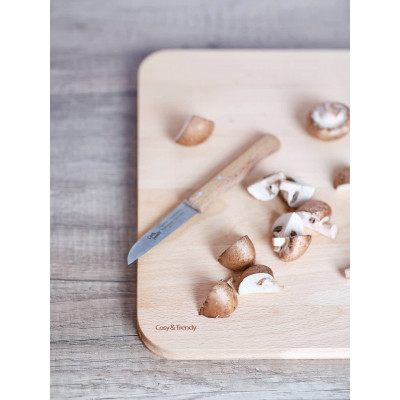 Cosy&Trendy ONESTA CUTTING BOARD 35X25XH2CM RECTANGULAR BEECH